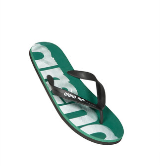 Arena Flip Flop army 47